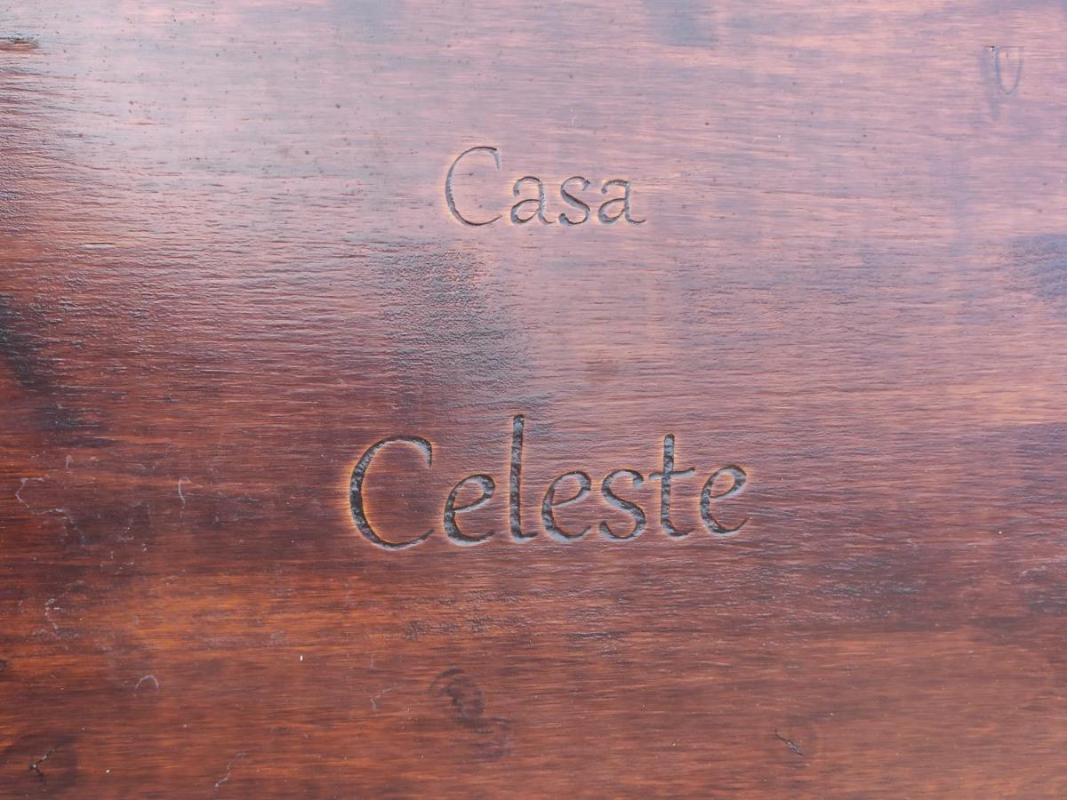 Loft Casa Celeste 卡塔尼亚 外观 照片
